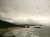 ecola park